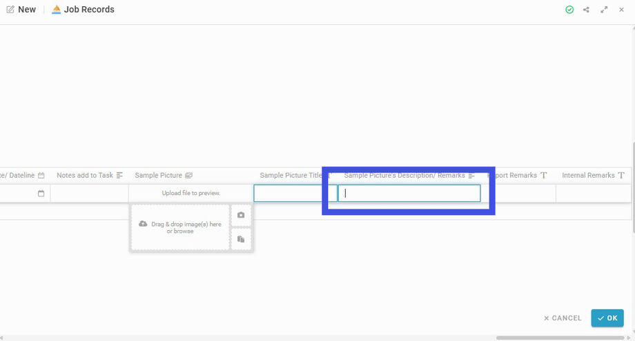 Insert Sample Picture's Description/Remark (if any) to the field 'Sample Picture's Description/Remarks'