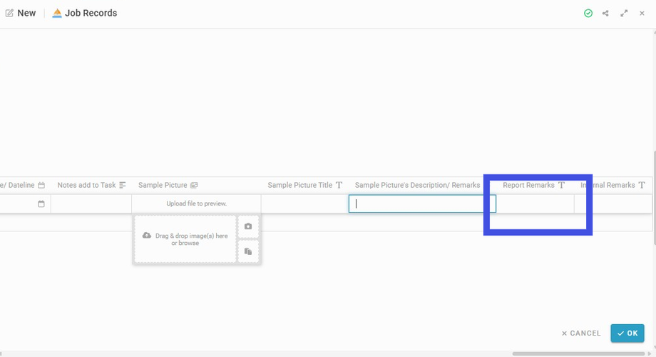 Insert Report Remarks (if any) to the field 'Report Remarks'