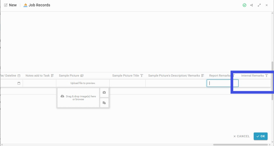 Insert Internal Remarks (if any) into the field 'Internal Remarks'