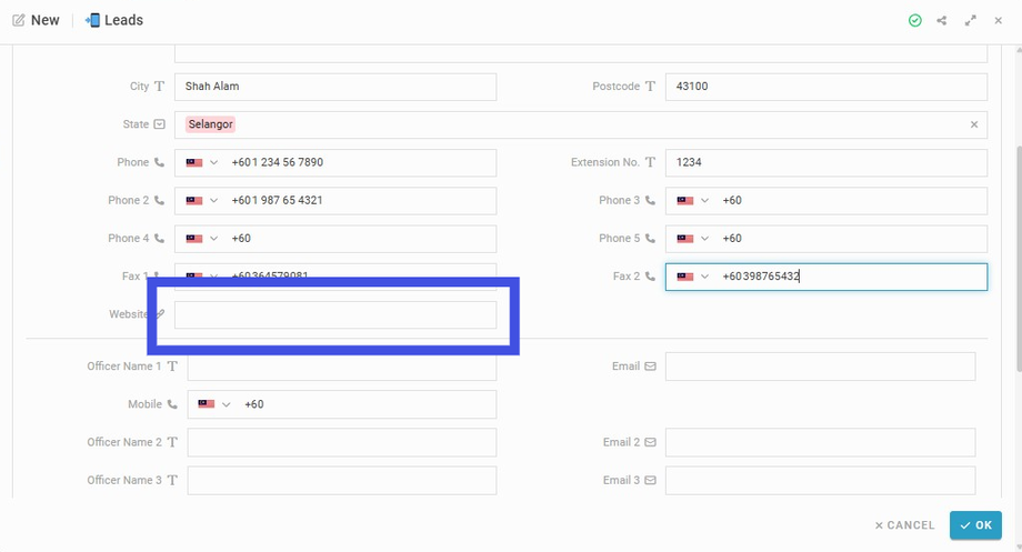 Insert 'Website' URL