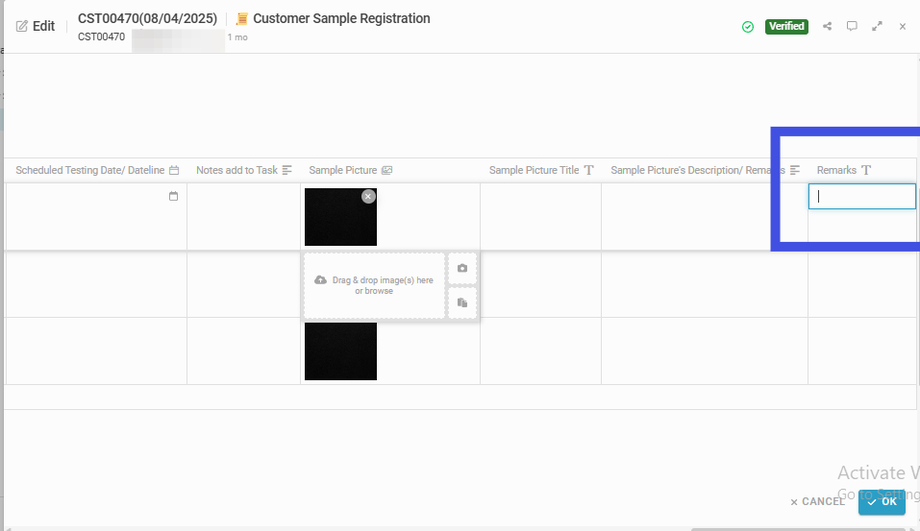 Add Remarks (if any)