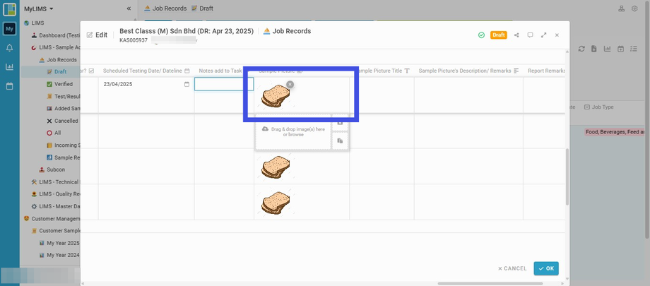 Navigate to the selected sample and upload its sample picture to the 'Sample Picture' field (if any)