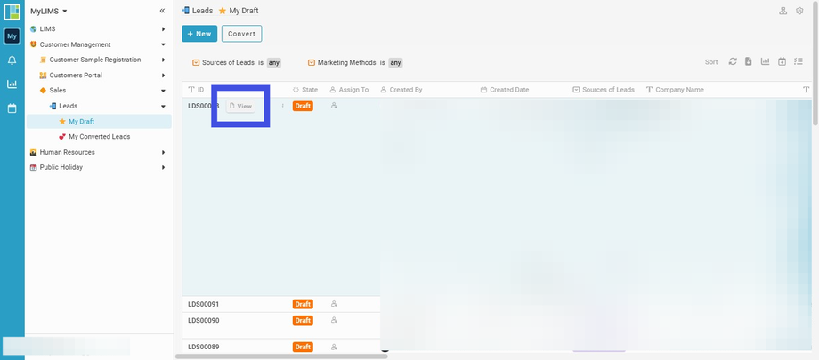 Click the 'View' button to view the Entry
