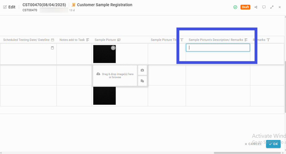 Add Sample Picture's Description/ Remarks for the respective sample (if any)