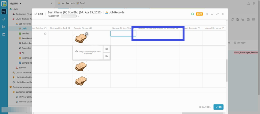 Navigate to the selected sample and insert its Sample Picture Description/ Remarks into the 'Sample Picture Description/ Remarks' field (if any)