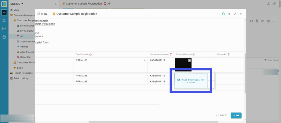 Insert Sample Picture by clicking 'Drag & drop image(s) here or browse'