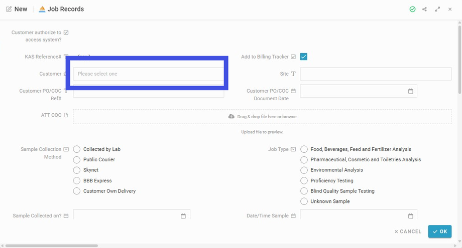 Pick a Customer name from the dropdown of the field 'Customer'