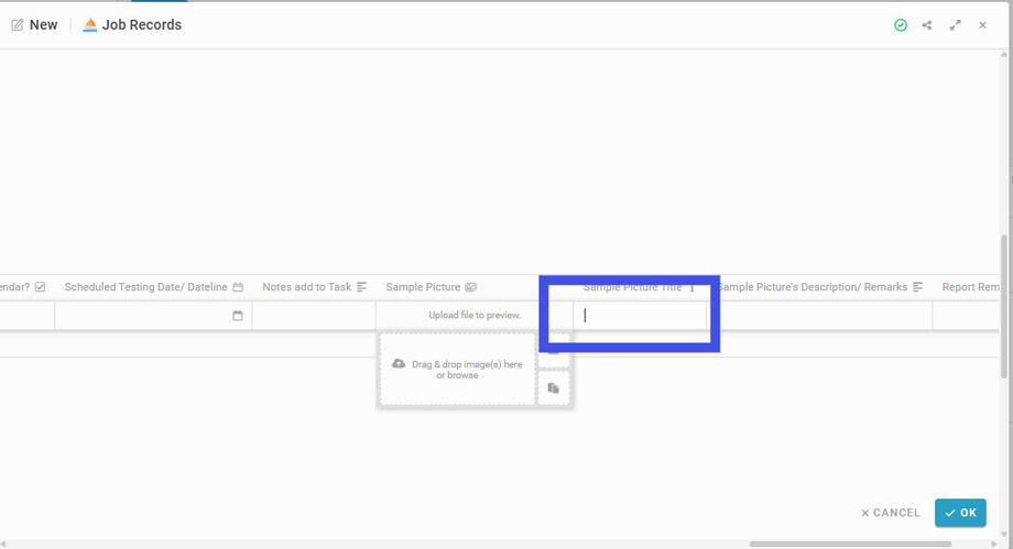 Insert the Sample Picture Title (if any) into the field 'Sample Picture Title'