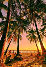 Гід по Можливостях та Винагородах