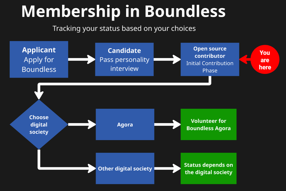 The iThe image depicts a graph showing a person's transition from applicant all the way to volunteer.mage depicts a graph showing a person's transition from applicant all the way to volunteer.