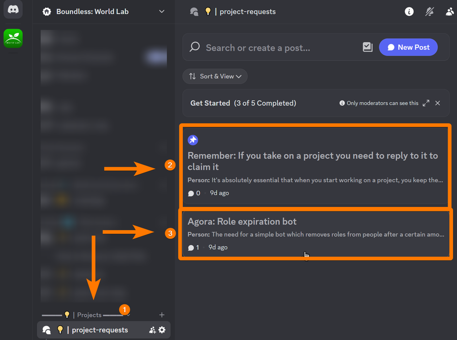 An image showing off the projects requests part of the discord and one that includes a reminder to click on the pin and also choose a project.