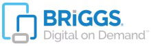 Logo Briggs Healthcare