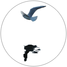 Logo Atemübungen zum Mitmachen