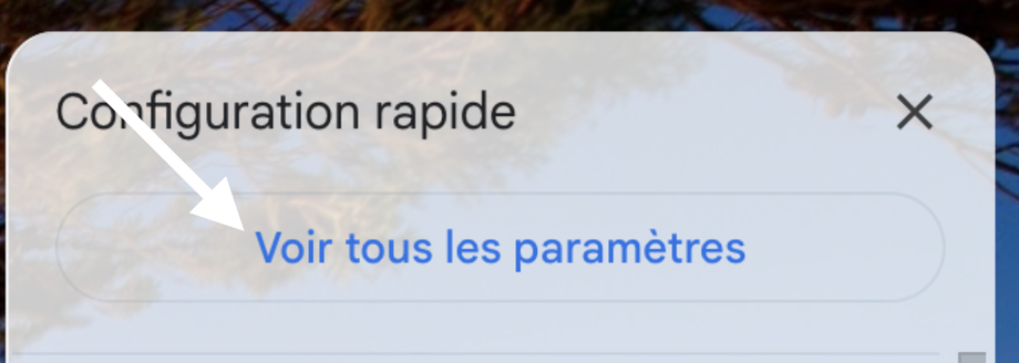 Sélectionnez Voir tous les paramètres.