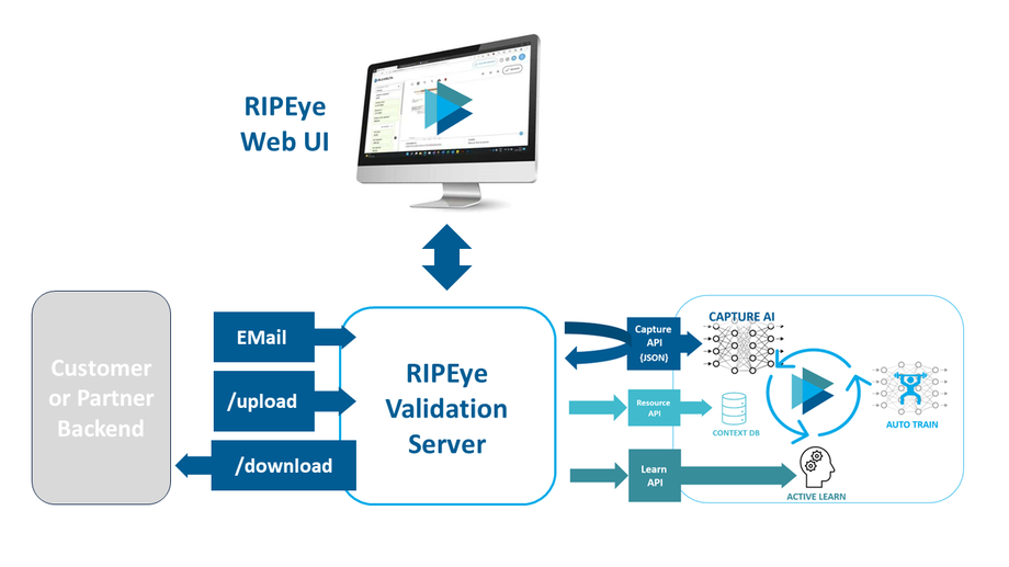 BLUDELTA RIPEye Invoice Validation