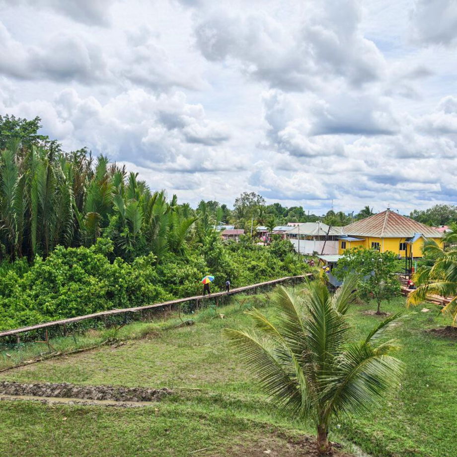 exterior view of SK Muhibbah school showing raised timber boardwalks and building structures