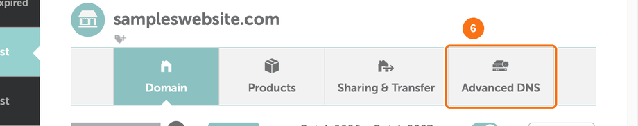 The Advanced DNS tab