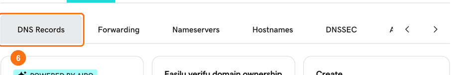 The DNS Records tab