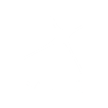 Logo BAR KB | By BlueLink Solutions